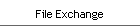 File Exchange